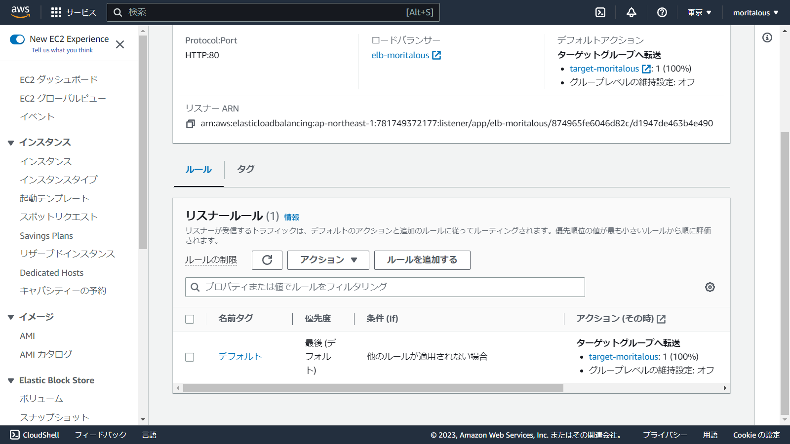 ap-northeast-1.console.aws.amazon.com_ec2_home_region=ap-northeast-1(1280x720) (11).png